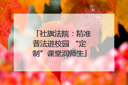 社旗法院：精准普法进校园 “定制”课堂润师生