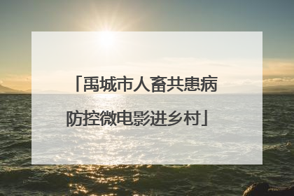 禹城市人畜共患病防控微电影进乡村