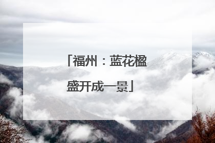 福州：蓝花楹盛开成一景