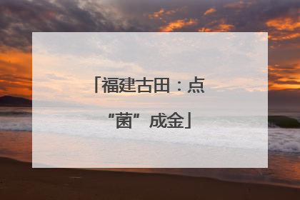 福建古田：点“菌”成金