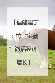 福建建宁：竹“宝藏”激活经济增长
