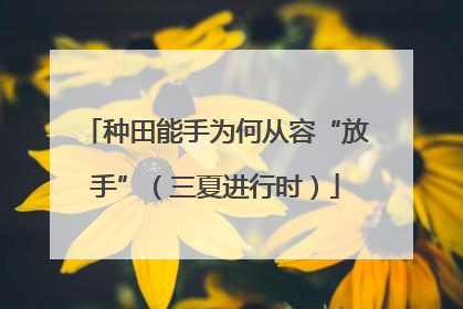 种田能手为何从容“放手”（三夏进行时）