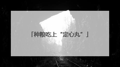 种粮吃上“定心丸”