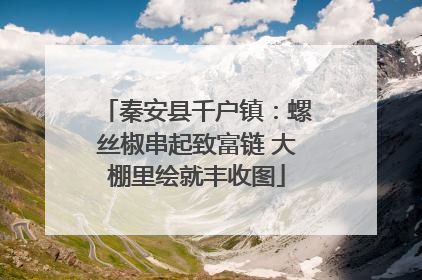 秦安县千户镇：螺丝椒串起致富链 大棚里绘就丰收图