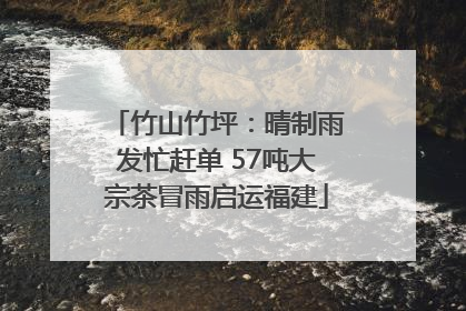 竹山竹坪：晴制雨发忙赶单 57吨大宗茶冒雨启运福建