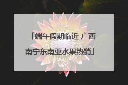 端午假期临近 广西南宁东南亚水果热销