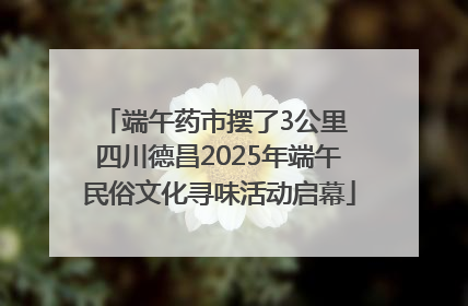 端午药市摆了3公里 四川德昌2025年端午民俗文化寻味活动启幕