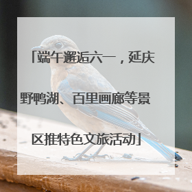 端午邂逅六一，延庆野鸭湖、百里画廊等景区推特色文旅活动
