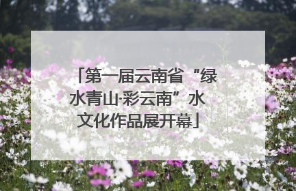 第一届云南省“绿水青山·彩云南”水文化作品展开幕
