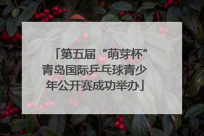 第五届“萌芽杯”青岛国际乒乓球青少年公开赛成功举办