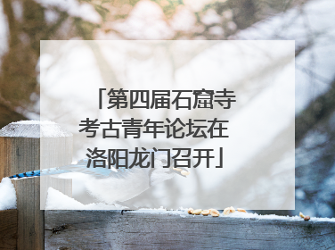 第四届石窟寺考古青年论坛在洛阳龙门召开