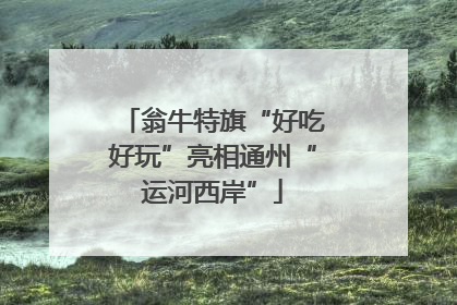 翁牛特旗“好吃好玩”亮相通州“运河西岸”