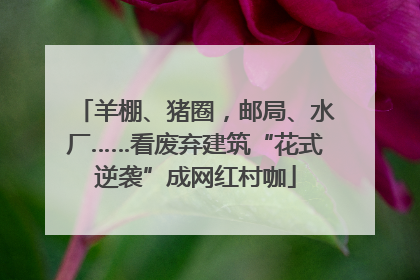 羊棚、猪圈，邮局、水厂……看废弃建筑“花式逆袭”成网红村咖
