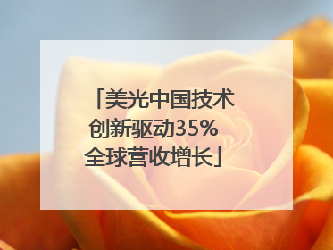 美光中国技术创新驱动35%全球营收增长