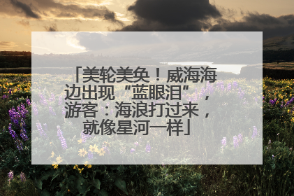 美轮美奂！威海海边出现“蓝眼泪”，游客：海浪打过来，就像星河一样