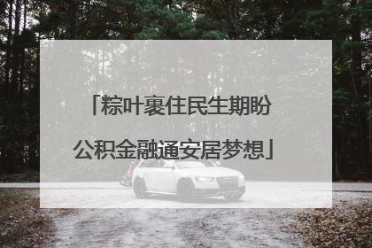 粽叶裹住民生期盼 公积金融通安居梦想