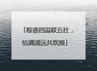粽香四溢联五社，情满浦沅共欢颜