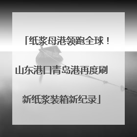 纸浆母港领跑全球！山东港口青岛港再度刷新纸浆装箱新纪录