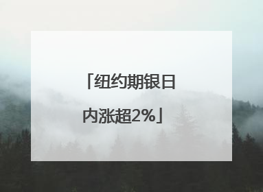 纽约期银日内涨超2%