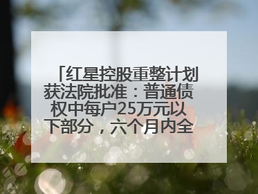 红星控股重整计划获法院批准：普通债权中每户25万元以下部分，六个月内全额现金清偿