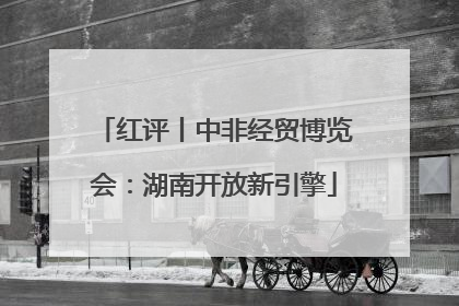 红评丨中非经贸博览会：湖南开放新引擎