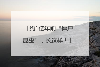 约1亿年前“僵尸昆虫”，长这样！
