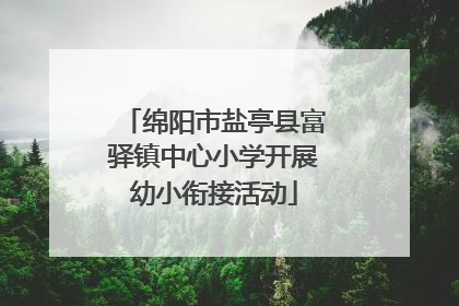 绵阳市盐亭县富驿镇中心小学开展幼小衔接活动