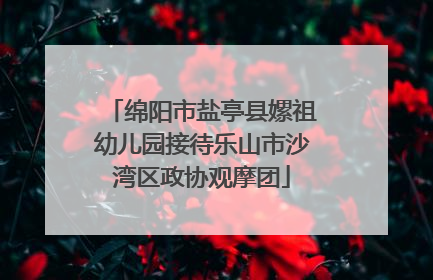 绵阳市盐亭县嫘祖幼儿园接待乐山市沙湾区政协观摩团