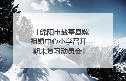 绵阳市盐亭县嫘祖镇中心小学召开期末复习动员会