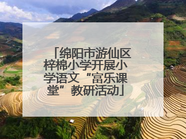 绵阳市游仙区梓棉小学开展小学语文“富乐课堂”教研活动