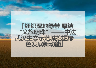 细织湿地绿带 厚结“文旅明珠”——中法武汉生态示范城挖掘绿色发展新动能