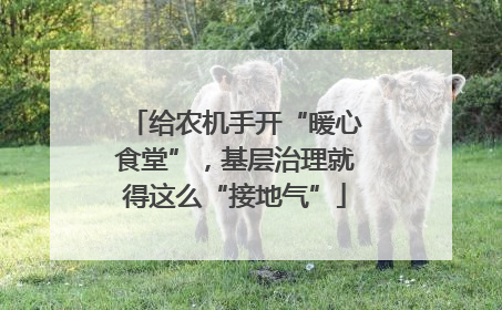 给农机手开“暖心食堂”，基层治理就得这么“接地气”