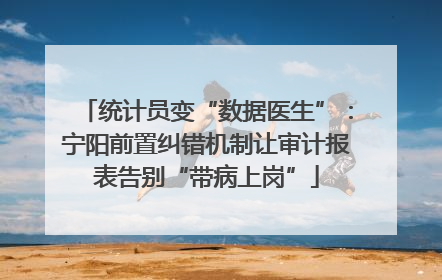 统计员变“数据医生”：宁阳前置纠错机制让审计报表告别“带病上岗”