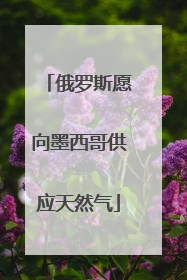 俄罗斯愿向墨西哥供应天然气