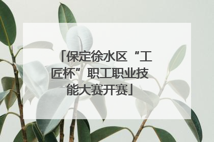 保定徐水区“工匠杯”职工职业技能大赛开赛