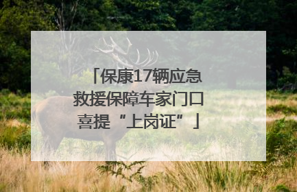 保康17辆应急救援保障车家门口喜提“上岗证”
