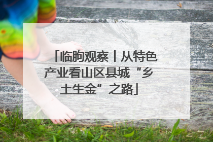 临朐观察丨从特色产业看山区县城“乡土生金”之路