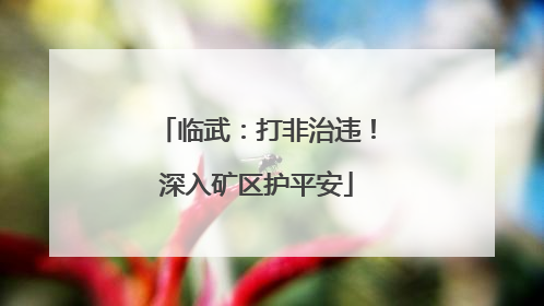 临武：打非治违！深入矿区护平安