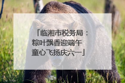 临湘市税务局：粽叶飘香迎端午 童心飞扬庆六一