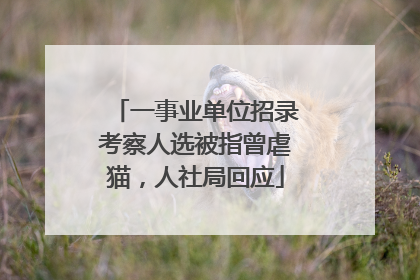 一事业单位招录考察人选被指曾虐猫，人社局回应