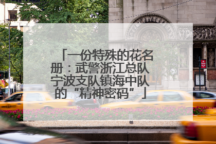 一份特殊的花名册：武警浙江总队宁波支队镇海中队的“精神密码”