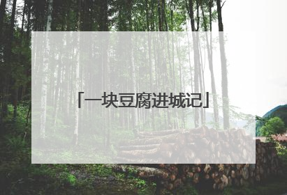 一块豆腐进城记