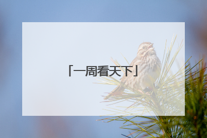 一周看天下