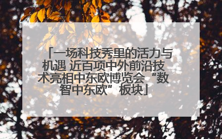 一场科技秀里的活力与机遇 近百项中外前沿技术亮相中东欧博览会“数智中东欧”板块