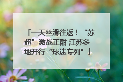 一天丝滑往返！“苏超”激战正酣 江苏多地开行“球迷专列”
