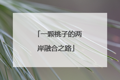 一颗桃子的两岸融合之路