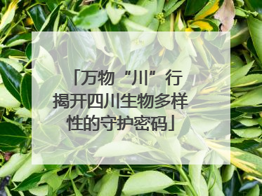 万物“川”行 揭开四川生物多样性的守护密码