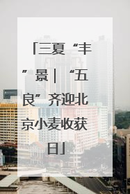 三夏“丰”景｜“五良”齐迎北京小麦收获日