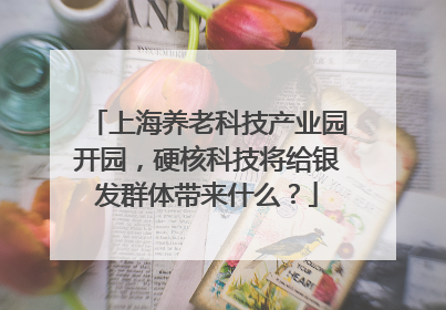 上海养老科技产业园开园，硬核科技将给银发群体带来什么？
