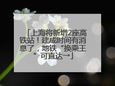 上海将新增2座高铁站！建成时间有消息了，地铁“换乘王”可直达→